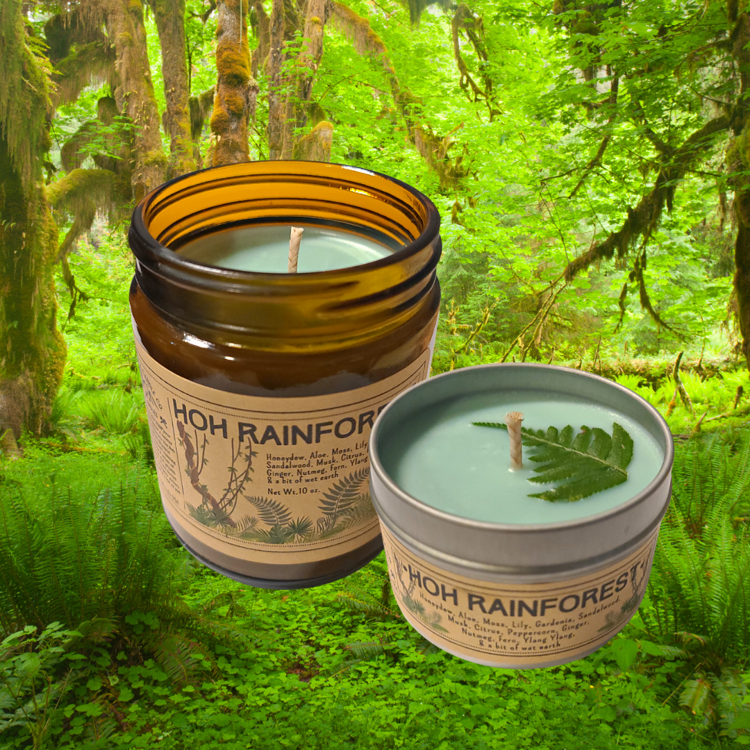 Wanderlust Folk - Hoh Rain Forest - USA MADE - Soy Wax Candles