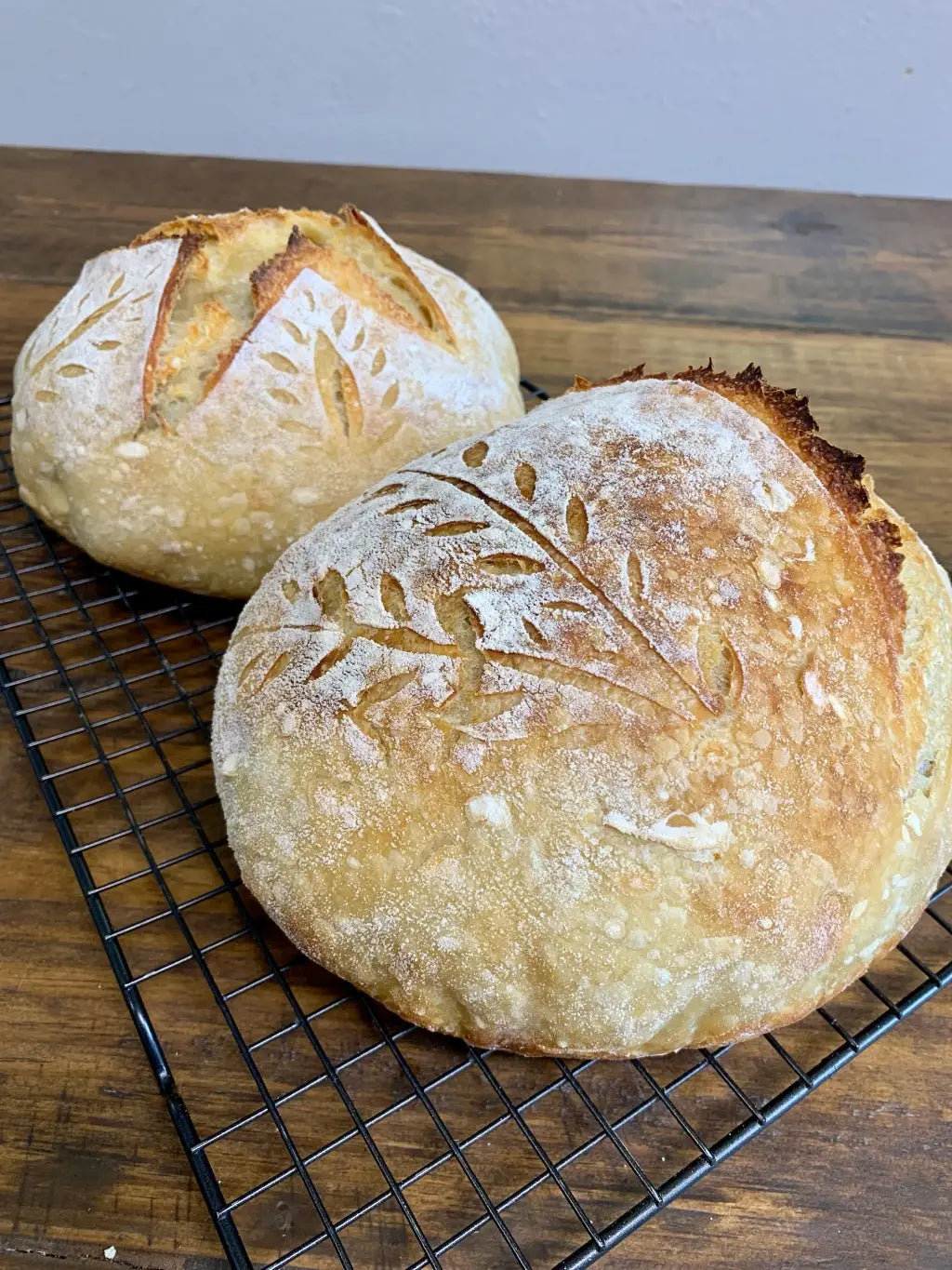 My Rustic Roots - Sourdough Starter | Freeze Dried | San Francisco Style 12gm