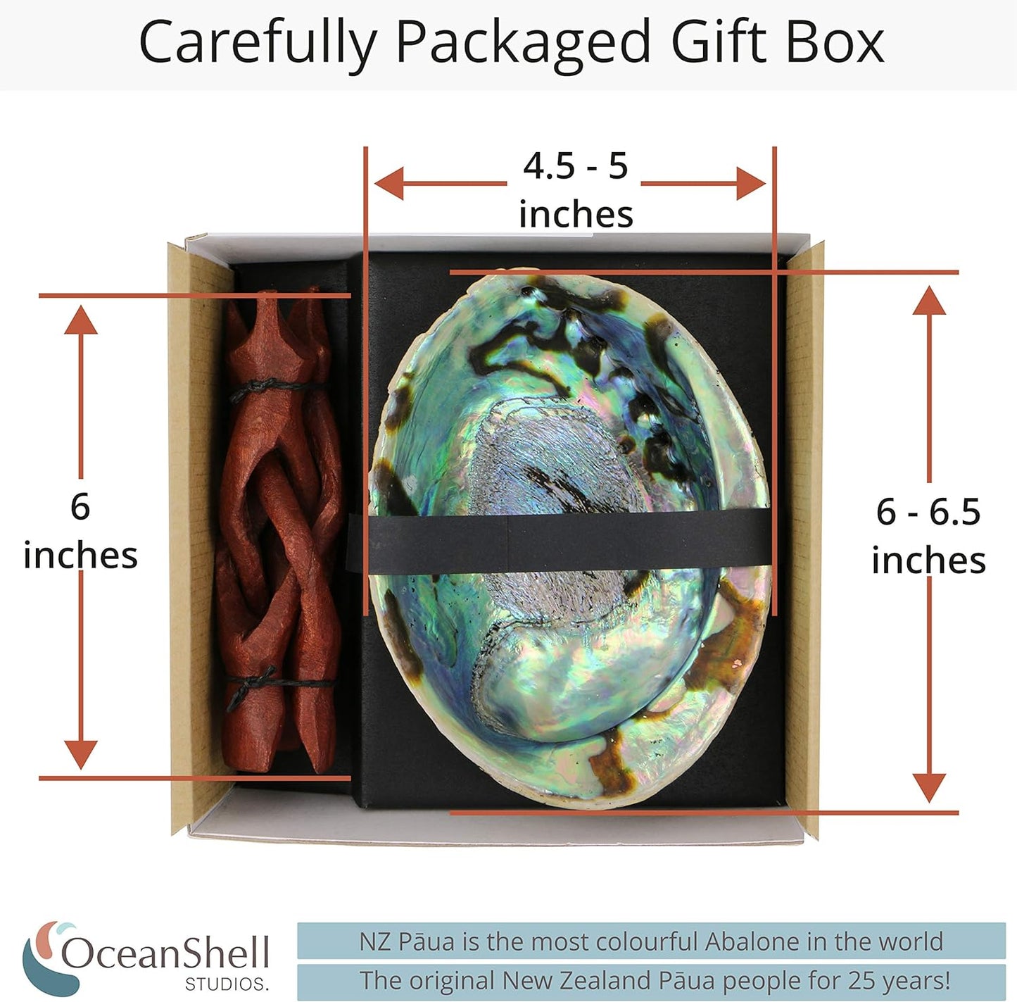 Natural Abalone (Pāua) Shell, with Stand,6-6.5 Inches,Supreme for Smudging,Cleansing Home,Meditation,Shell Crafts,Incense Holder,100% Natural, Sustainably Sourced by Ocean Shell Studios NZ