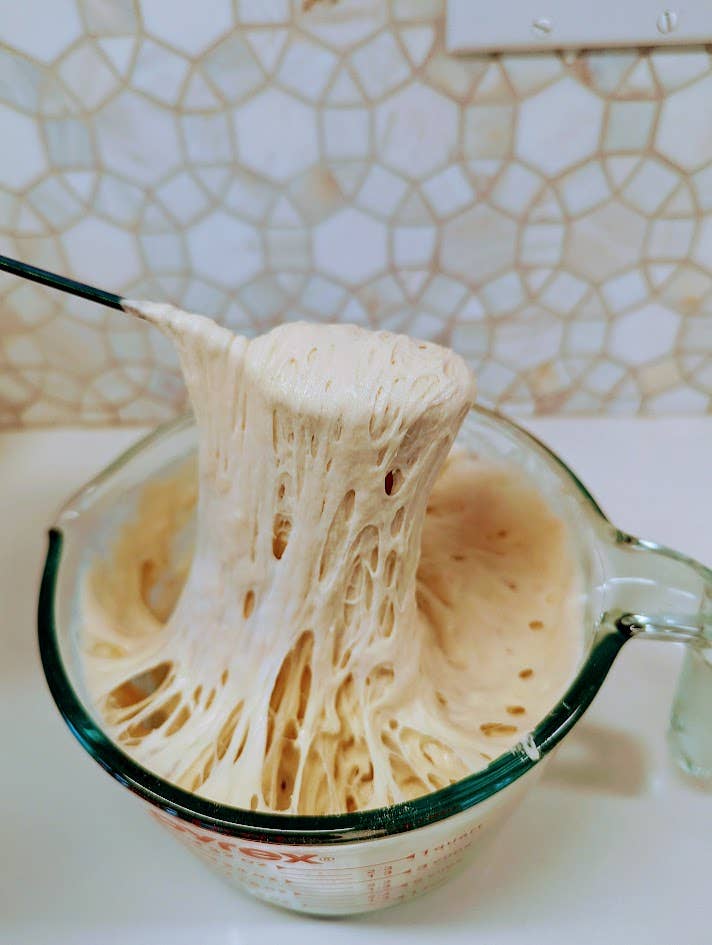 My Rustic Roots - Sourdough Starter | Freeze Dried | San Francisco Style 12gm