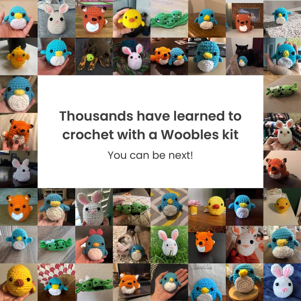 The Woobles - Pierre the Penguin Beginner Crochet Kit
