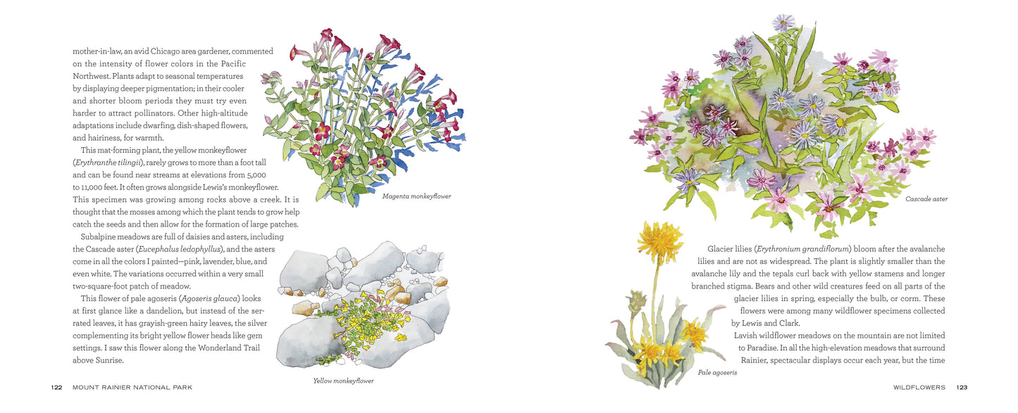 Mountaineers Books - Mount Rainier National Park