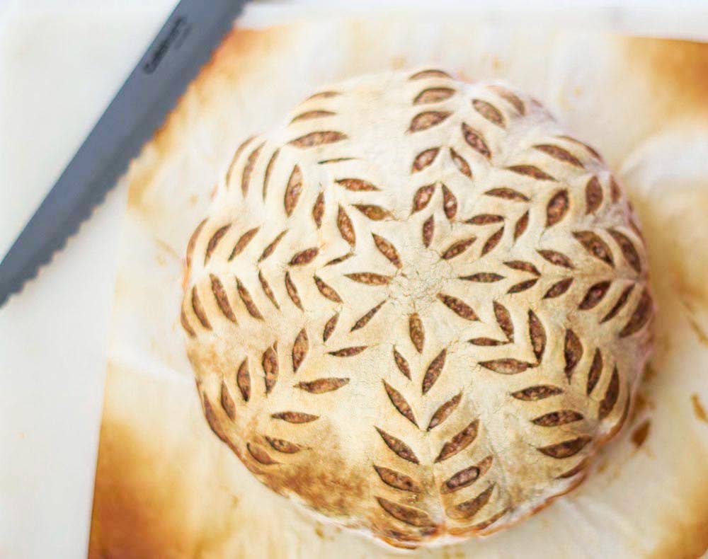 My Rustic Roots - Sourdough Starter | Freeze Dried | San Francisco Style 12gm