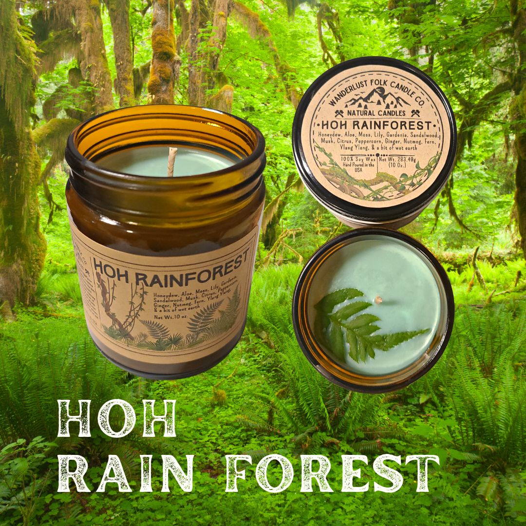 Wanderlust Folk - Hoh Rain Forest - USA MADE - Soy Wax Candles