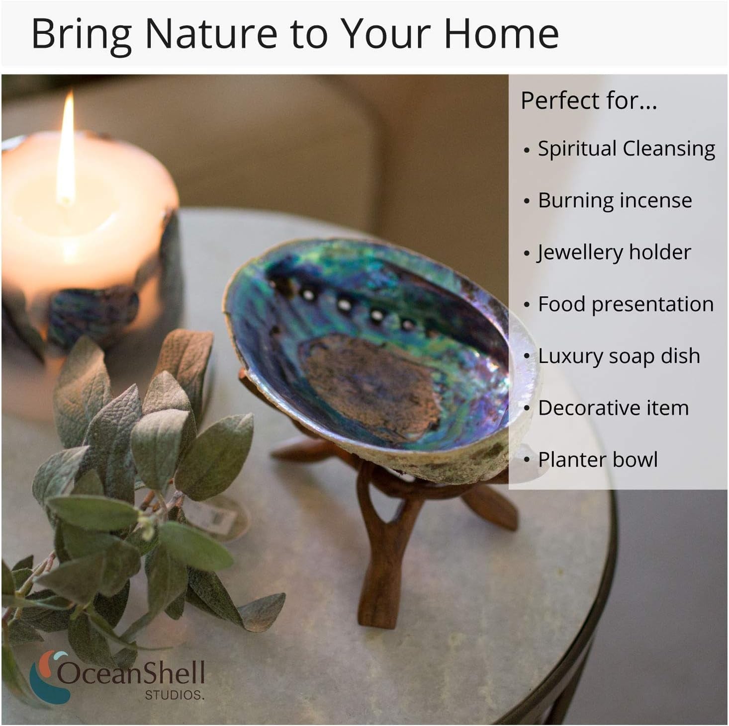 Natural Abalone (Pāua) Shell, with Stand,6-6.5 Inches,Supreme for Smudging,Cleansing Home,Meditation,Shell Crafts,Incense Holder,100% Natural, Sustainably Sourced by Ocean Shell Studios NZ