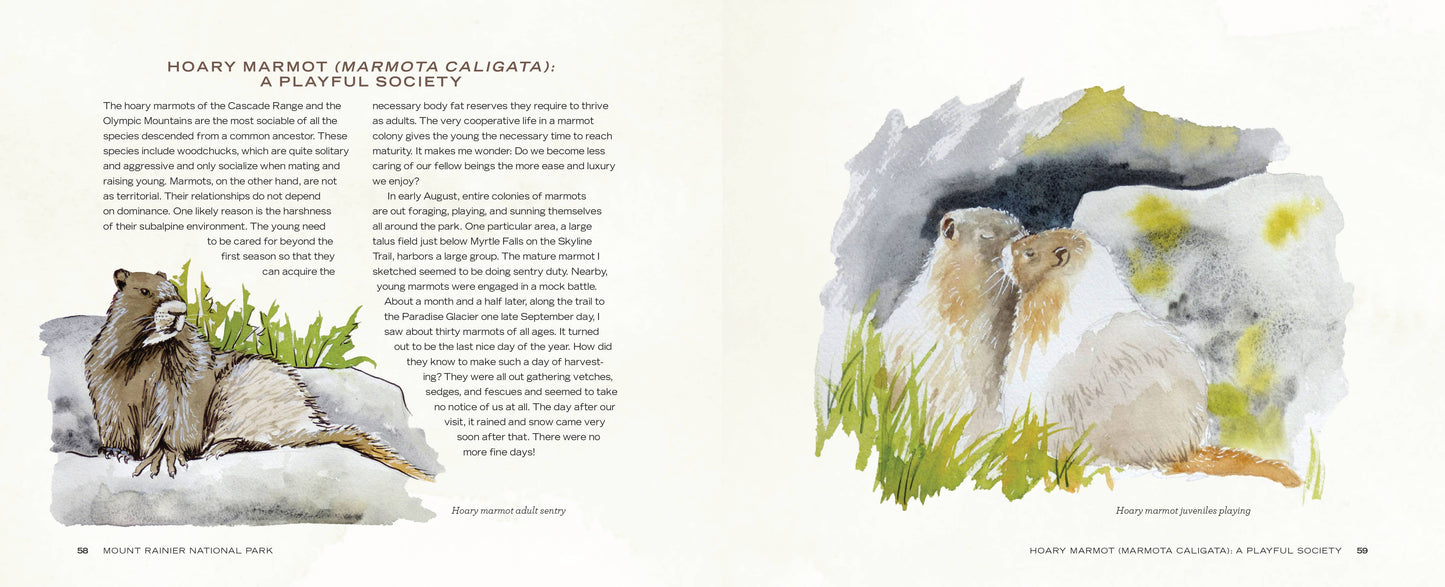 Mountaineers Books - Mount Rainier National Park