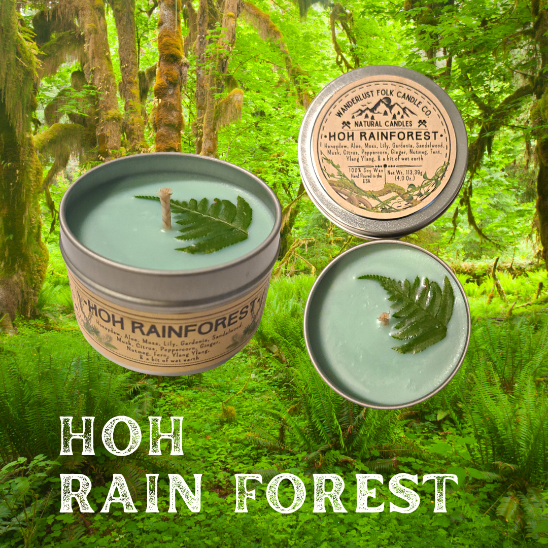 Wanderlust Folk - Hoh Rain Forest - USA MADE - Soy Wax Candles